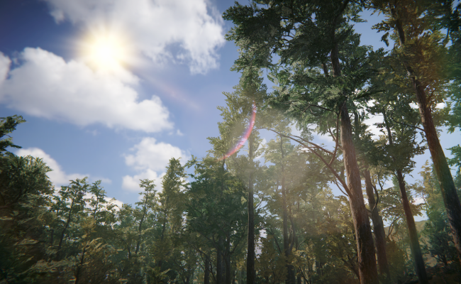 Wild Frontiers: Scots Pine Biome