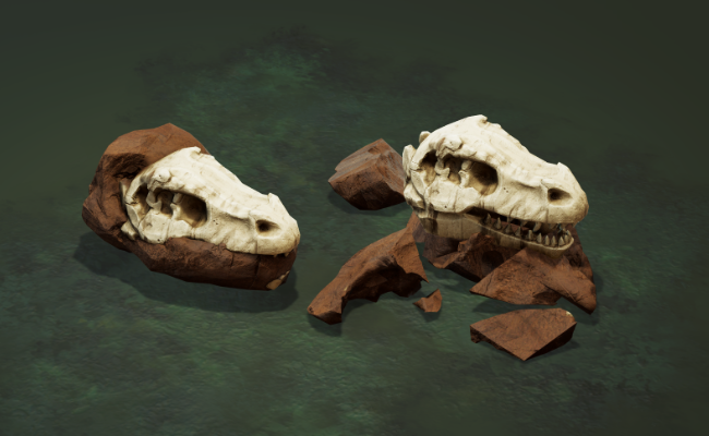 Fossils