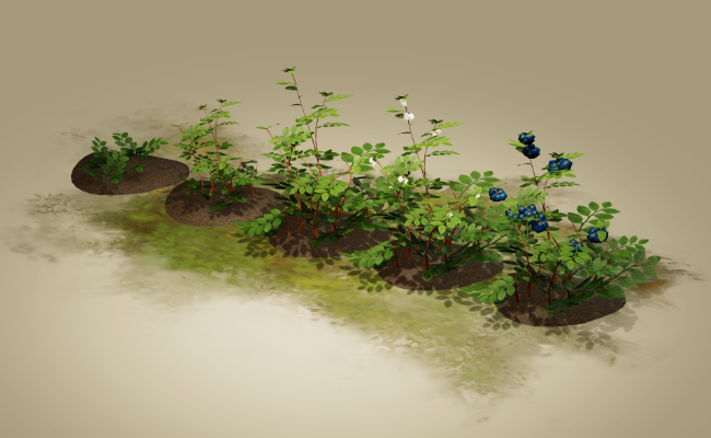 Berries
