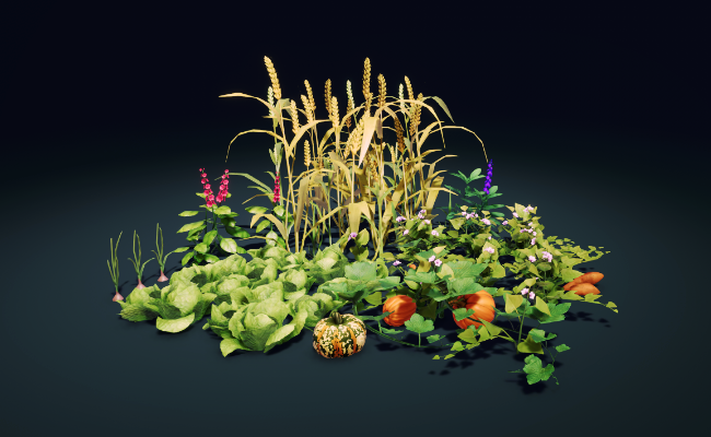 Crop & Plant Bundle