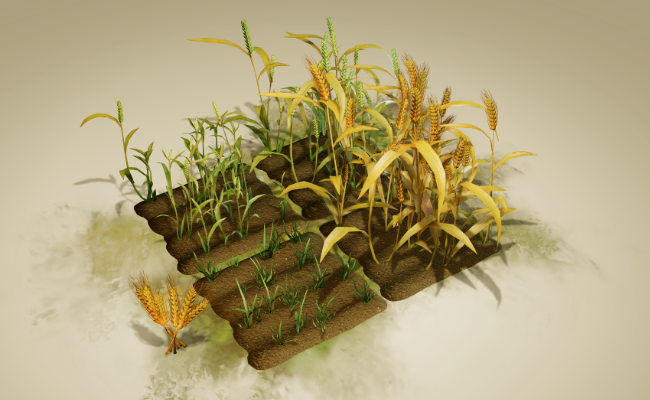Grains