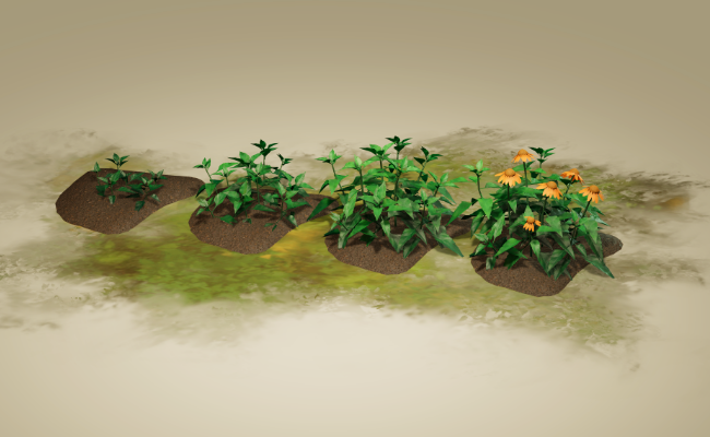 Herbs