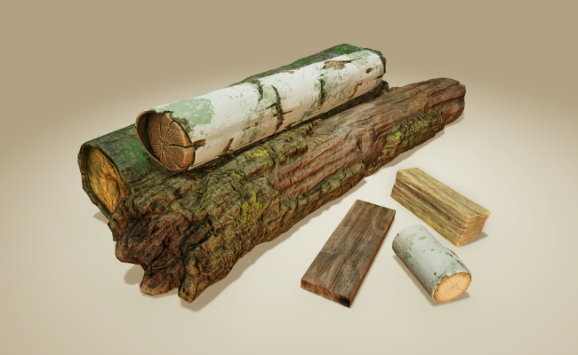 Log Salvage