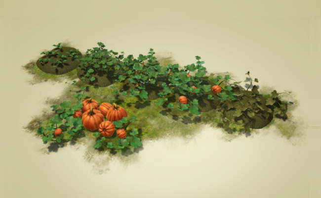Pumpkins & Squashes