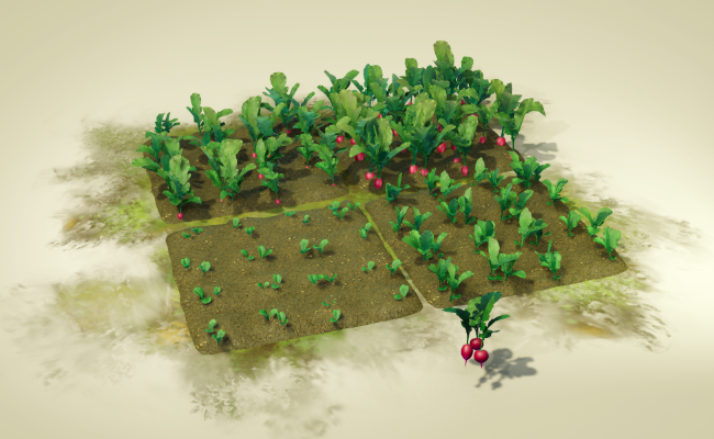 Salad Garden