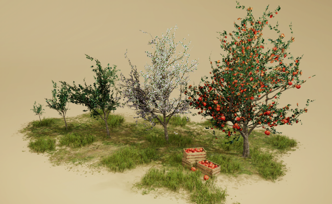 Fruit Trees