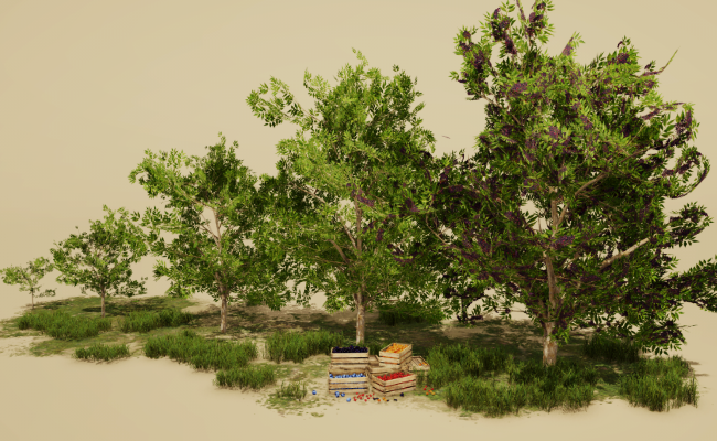 Hedgerow Trees
