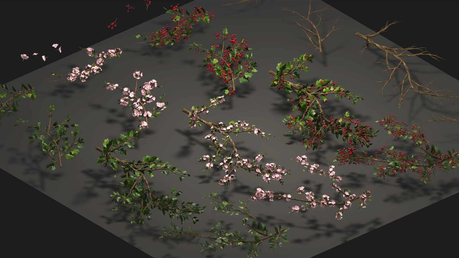 Hawthorn branch cards: pink tinged blossom, branches in leaf, branches heavy with red haws, and bare twigs